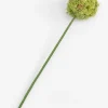Allium spray kunstbloem H90cm - Groen