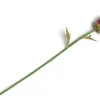 Artichoke Stem H80cm - Roze