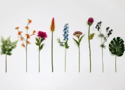 Artichoke Stem H80cm - Roze