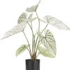 Caladium H60cm kunstplant - Groen