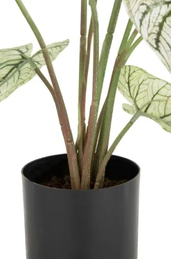 Caladium H60cm kunstplant - Groen