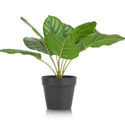 Calathea Orbifolia H45cm kunstplant - Groen