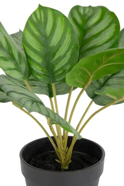 Calathea Orbifolia H45cm kunstplant - Groen