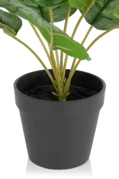 Calathea Orbifolia H45cm kunstplant - Groen