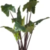 Colocasia H130cm - Groen