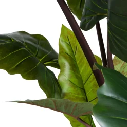 Colocasia H130cm - Groen