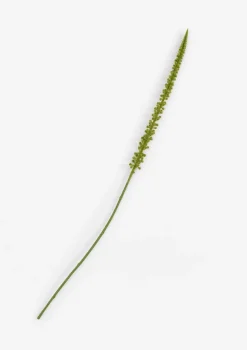 Donkey Tail kunstbloem H86cm - Groen