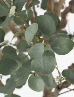 Eucalyptus Tree kunstplant H240cm - Groen