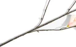 Hibiscus Branch H115cm kunstbloem - Oranje