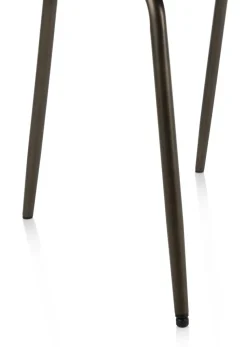 Kjel eetkamerstoel - champagne frame - Antraciet