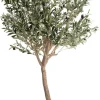Olive Tree H180cm kunstplant - Groen