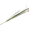 Pampus Grass kunstbloem H120cm - Groen