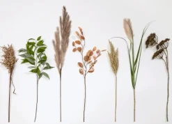 Pampus Grass kunstbloem H120cm - Groen