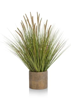 Pennisetum Grass plant H99cm - Groen