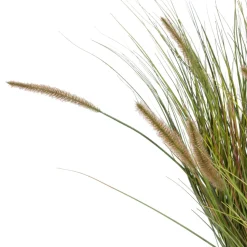 Pennisetum Grass plant H99cm - Groen