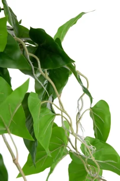 Philodendron Scandens H80cm kunstplant - Groen