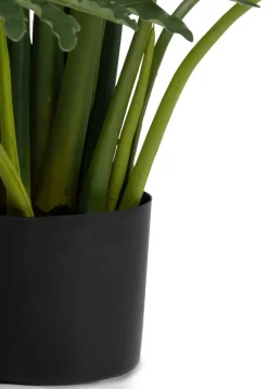 Philodendron Selloum kunstplant H125cm - Groen